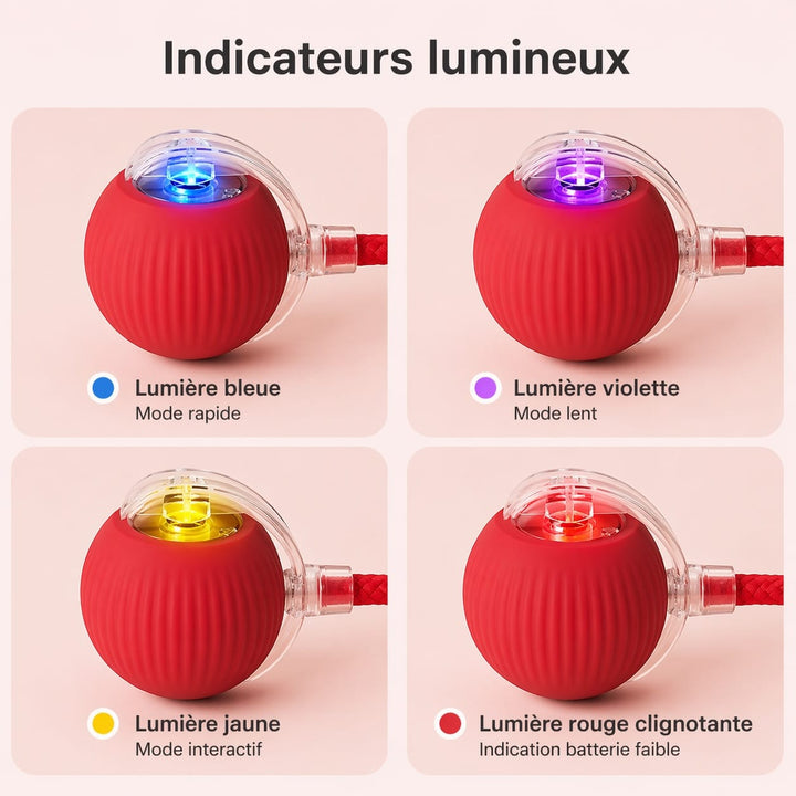 Cadeau idéal pour chat : balle interactive électronique offrant divertissement, exercice et réduction du stress.