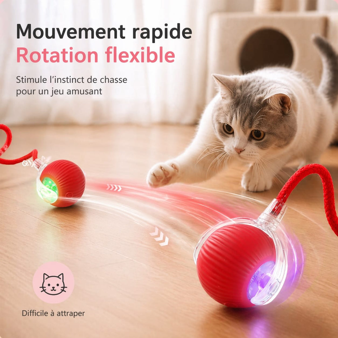 Jouet électronique intelligent pour chat, cette balle stimule l'instinct de chasse et l'exercice quotidien.