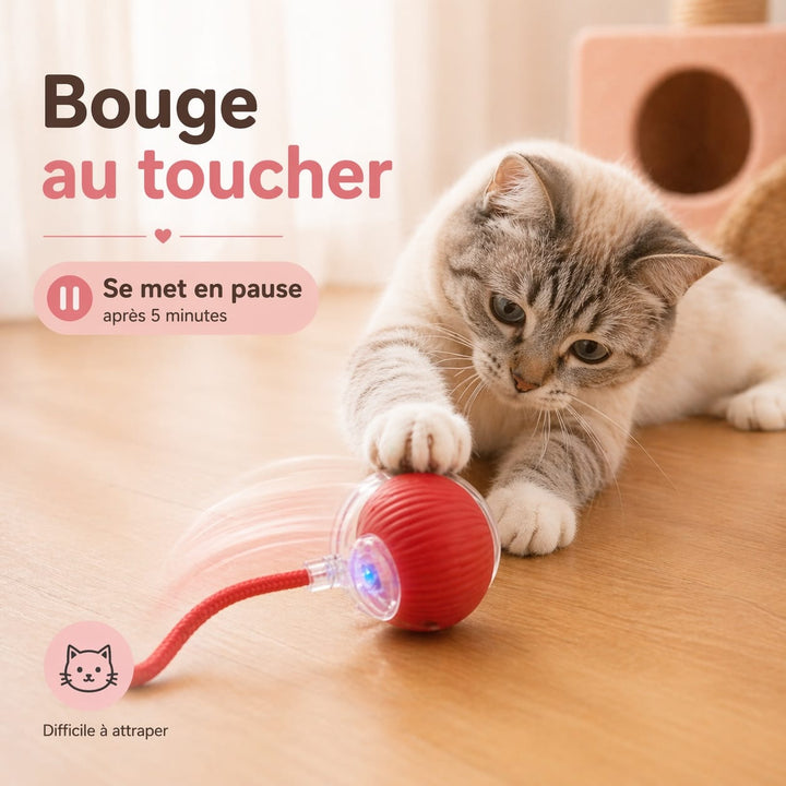 Chat heureux jouant avec une balle interactive électronique, un jouet stimulant pour des heures de plaisir.