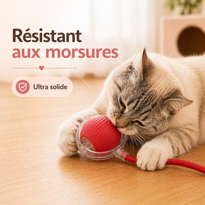 Découvrez la balle interactive intelligente, le jouet électronique parfait pour divertir et activer votre chat.