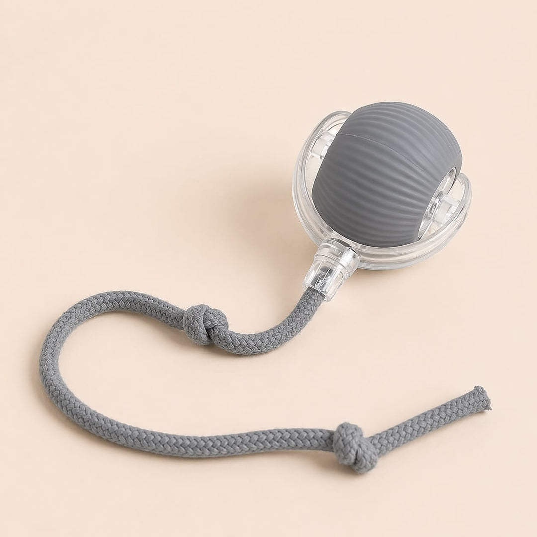 Accessoire de jeu connecté : balle intelligente pour chat, favorise l'activité physique et mentale des félins.