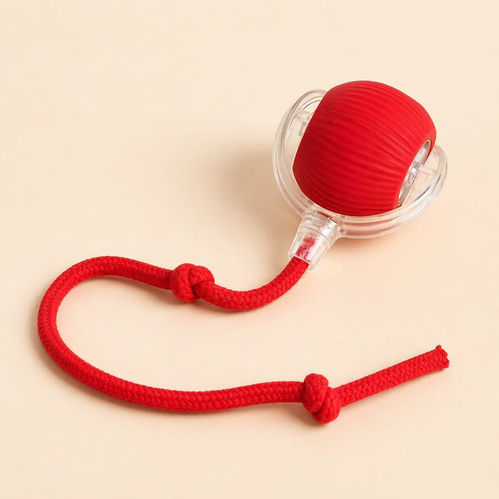 Jouet interactif intelligent pour chat, cette balle électronique assure des moments de jeu captivants et sains.