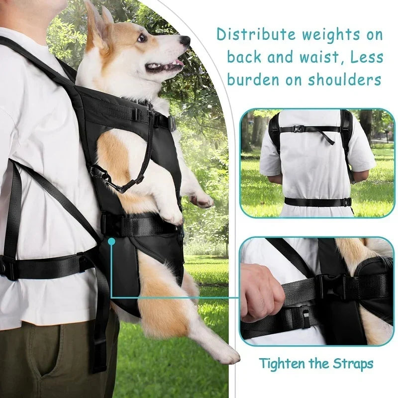 Sac de transport ventral robuste pour chien. Aventure chien facile, accessoire essentiel petit/moyen compagnon.