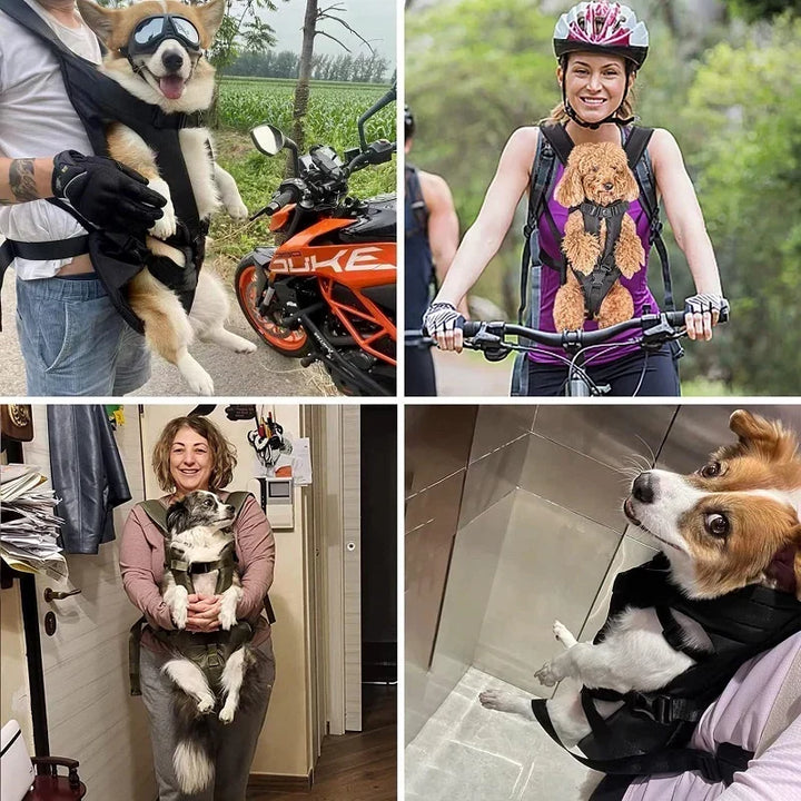 Sac de transport ventral sécurisé pour chien. Confort animal et tranquillité d'esprit en randonnée ou voyage.