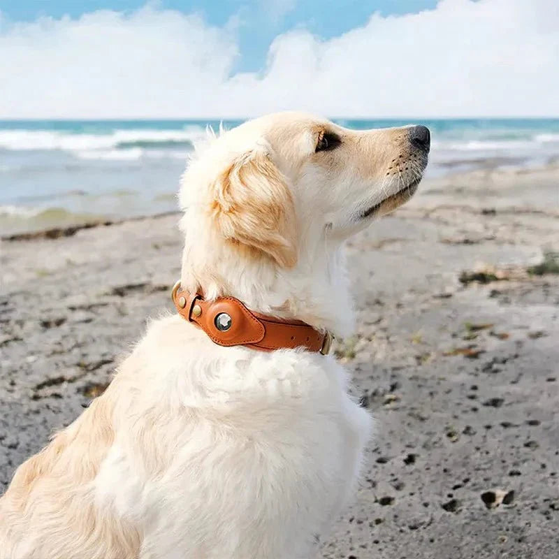 Collier chien GPS cuir recyclé premium avec emplacement AirTag intégré pour sécurité et traqueur anti-perte.