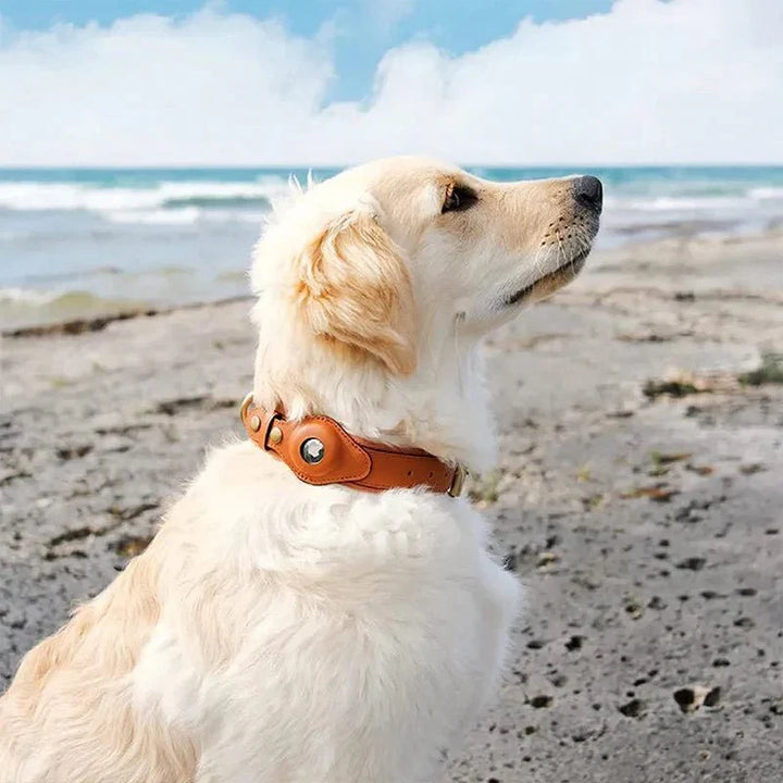 Collier chien GPS cuir recyclé premium avec emplacement AirTag intégré pour sécurité et traqueur anti-perte.