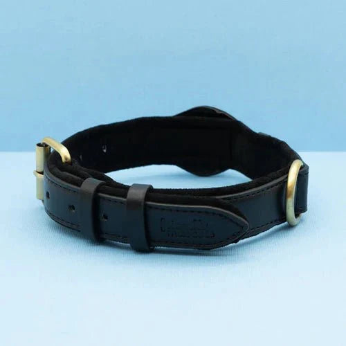 Détail du collier chien premium en cuir recyclé, coutures robustes, emplacement sécurisé pour AirTag GPS.