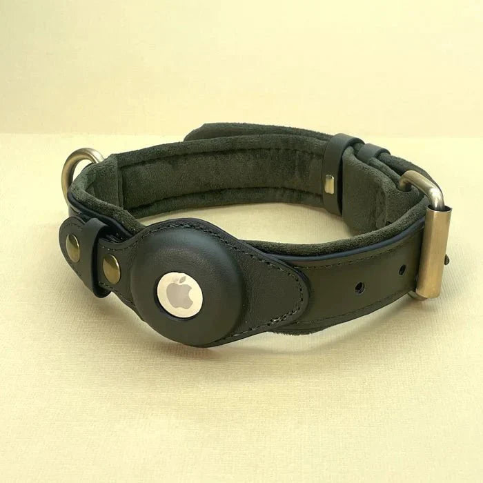 Sécurité chien optimale: collier anti-perte en cuir recyclé avec emplacement AirTag GPS intégré, durable.