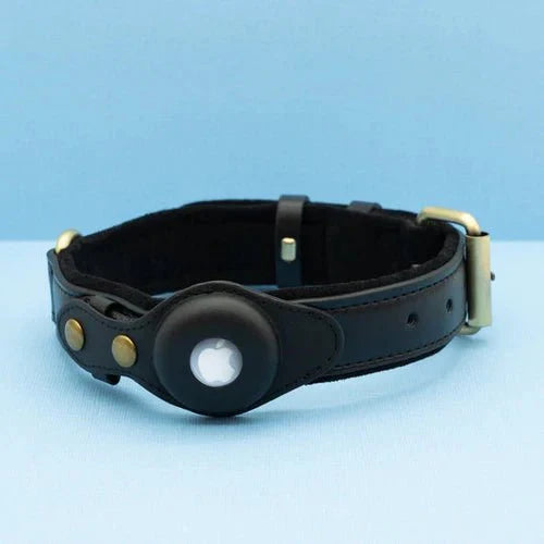 Chien portant un collier GPS AirTag en cuir recyclé, assurant sa sécurité et un suivi anti-perte fiable.