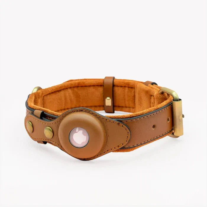 Tranquillité d'esprit avec ce collier chien GPS AirTag en cuir recyclé, assurant la sécurité et le suivi de votre animal.