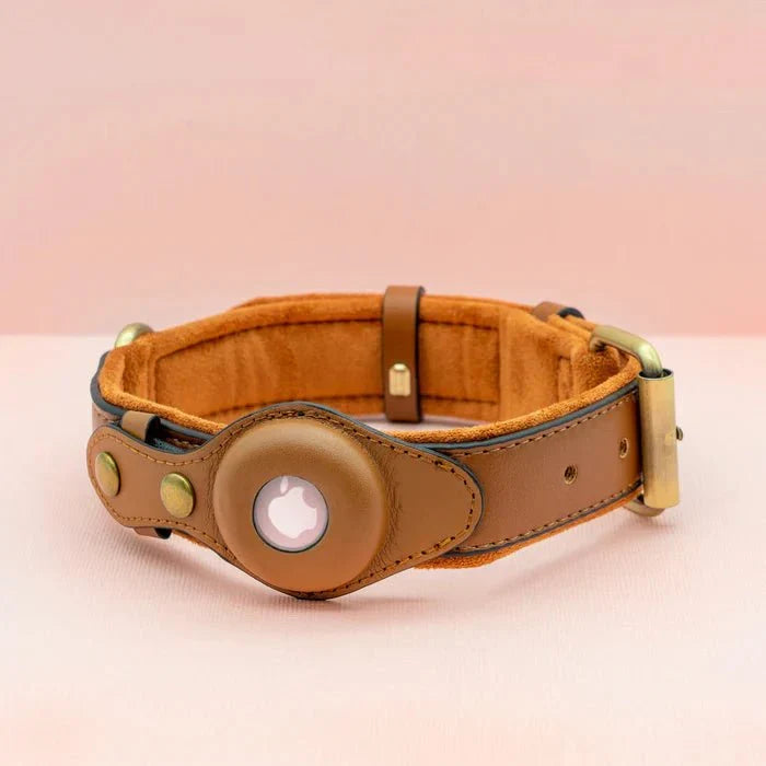 Collier chien minimaliste en cuir recyclé, intégrant discrètement l'AirTag GPS pour une sécurité discrète.