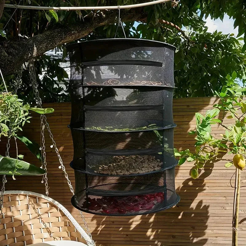 Séchoir pliable multicouche pour herbes, fruits, légumes. Un filet de séchage naturel pour une conservation durable.