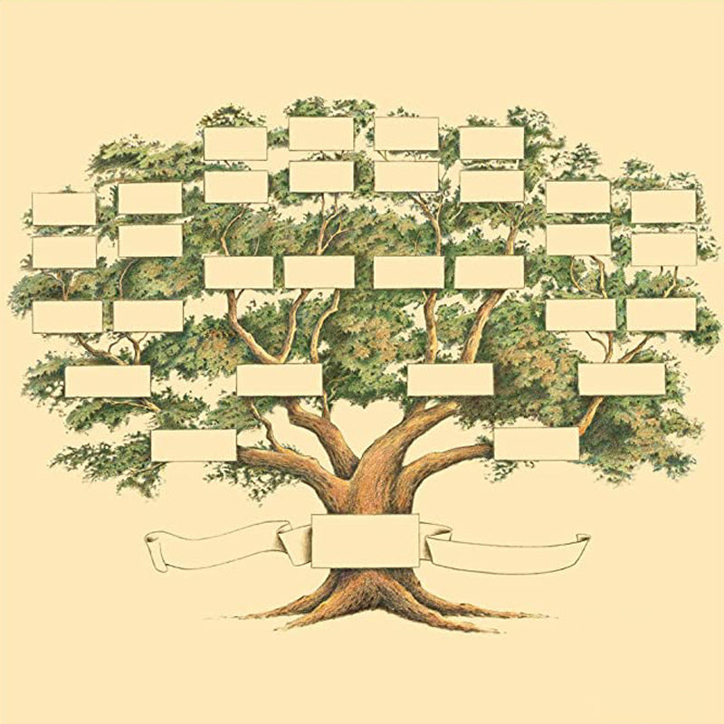 Tableau mural généalogique pour 6 générations, pour immortaliser l'histoire et les liens familiaux. Décoration unique.