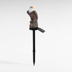 Aigle