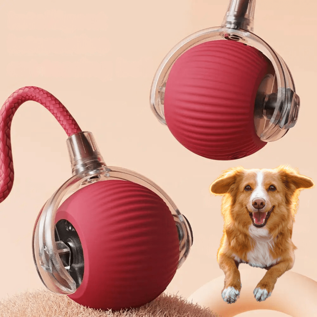 Balle interactive durable pour chien, stimule l'activité et le jeu canin.