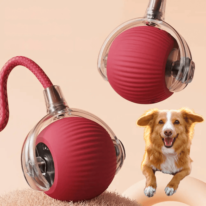 Balle interactive durable pour chien, stimule l'activité et le jeu canin.