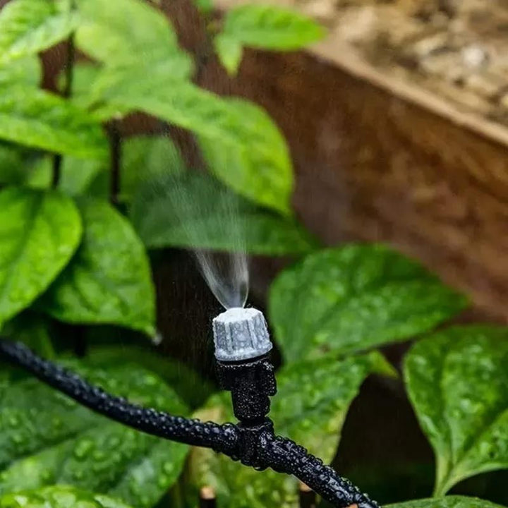 Arrosage goutte-à-goutte 10m et brumisation pour jardinage, système automatique pour plantes d'extérieur.