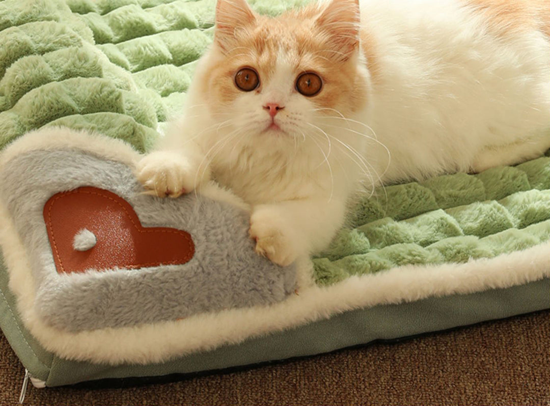 Lit douillet en peluche pour petit chien, chiot, chat. Tapis confort animal luxe, chaud pour l'hiver.