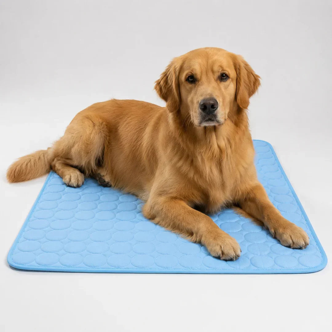 Tapis rafraîchissant lavable pour chien et chat, offrant un confort frais essentiel en été.
