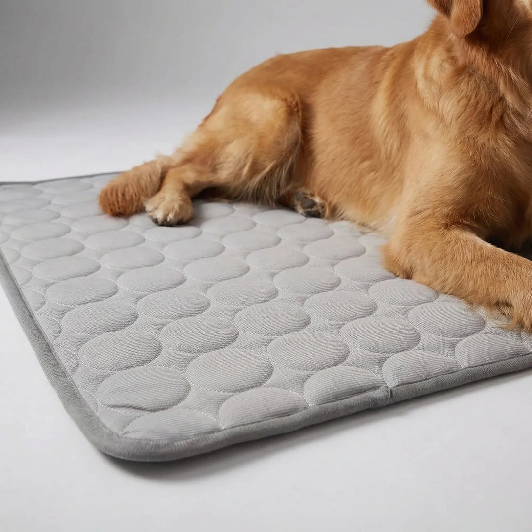 Tapis matelassé polyester, rafraîchissant pour animal. Offre un repos frais aux chiens et chats.