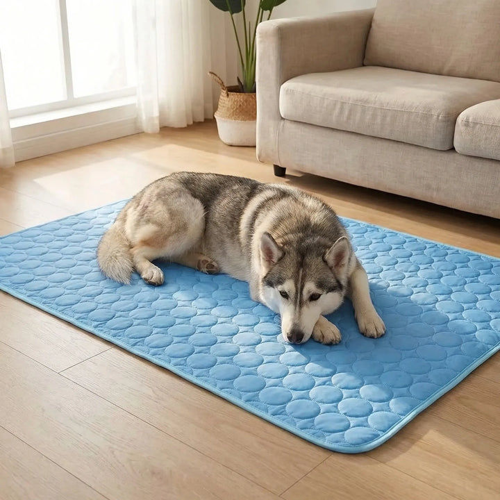Tapis rafraîchissant matelassé pour animaux. Idéal pour chien/chat en été. Frais et confortable.