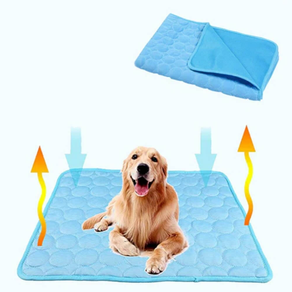 Tapis rafraîchissant pour chien, soulagement instantané de la chaleur estivale. Confort et bien-être canin.