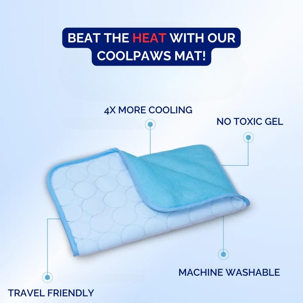 Chien reposant sur un tapis rafraîchissant portable non toxique, accessoire essentiel pour l'été et la fraîcheur.