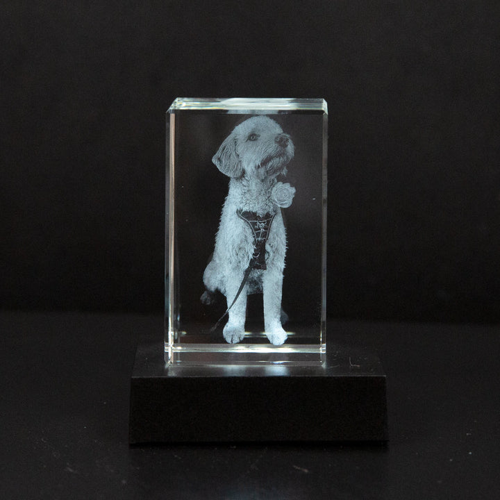 Cristal personnalisé gravé photo d'animal, hommage mémorial pour un souvenir précieux et éternel.