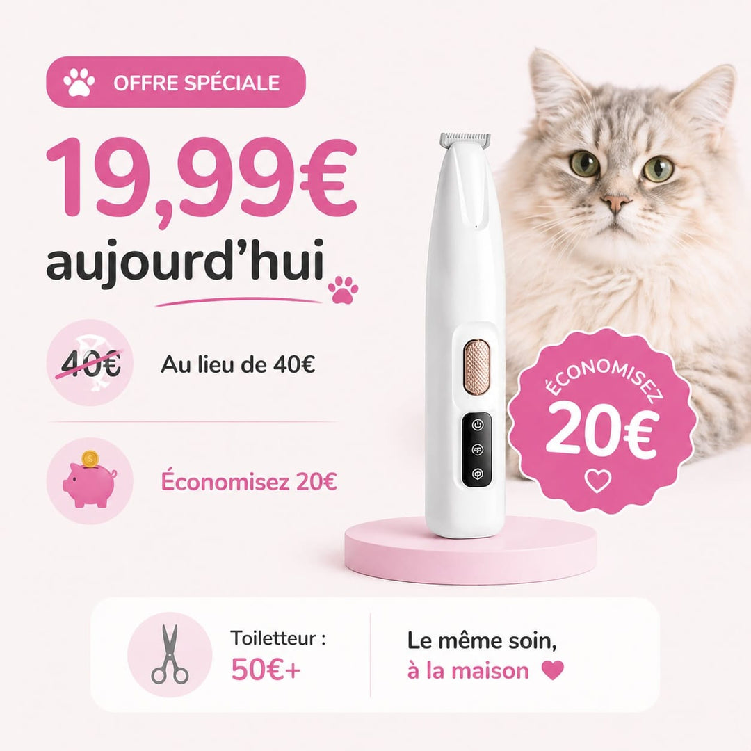 Toilettage silencieux pour chat à poils longs, appareil anti-nœuds qui respecte la peau sensible.