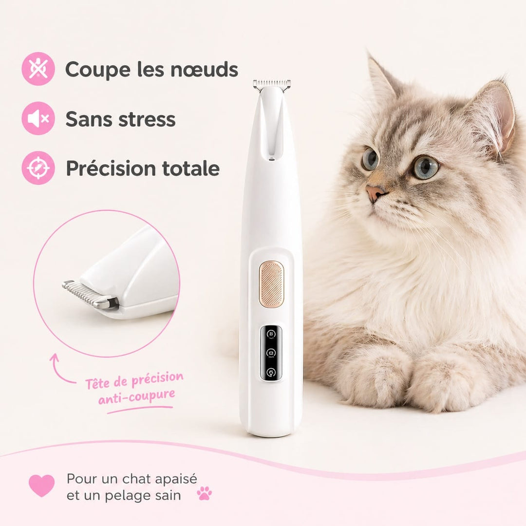 Tondeuse silencieuse pour chat, coupe précise des poils longs, idéale pour pelage emmêlé sans stress.