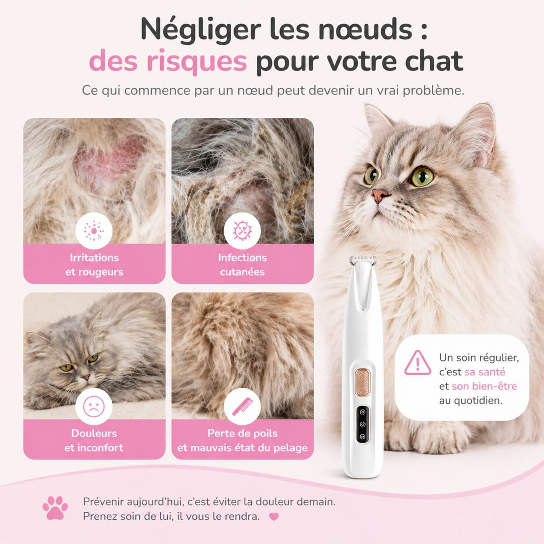 Kit toilettage chat silencieux, comprend tondeuse anti-nœuds efficace pour longs pelages délicats.