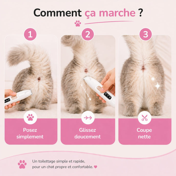 Accessoire toilettage chat essentiel : tondeuse silencieuse pour un pelage long et soyeux.