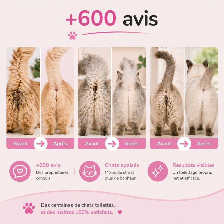 Tondeuse professionnelle pour chat, moteur silencieux, lame céramique pour poils longs sans tirer.