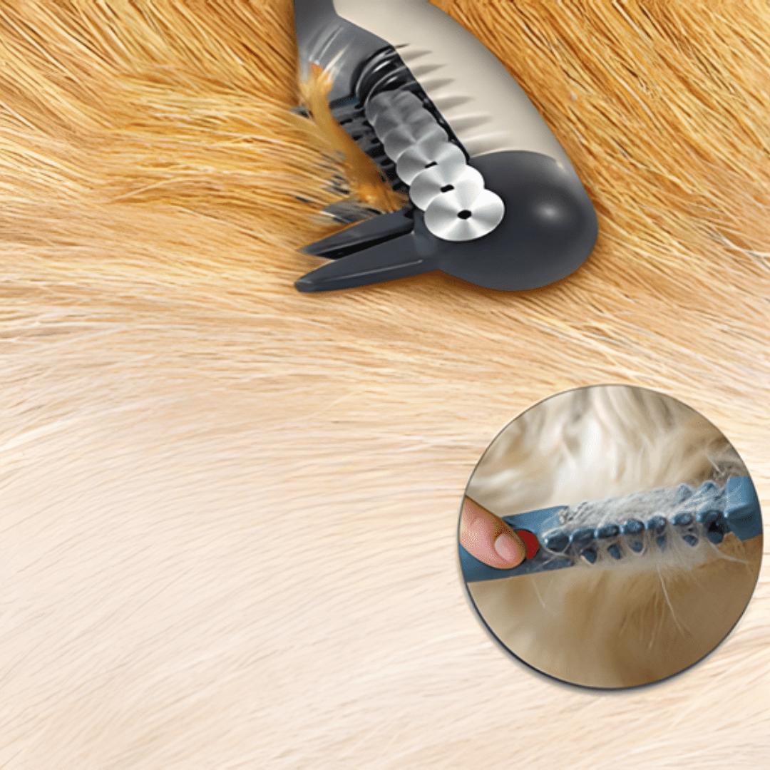Tondeuse électrique silencieuse pour animaux, coupe précise et confortable du pelage des chiens et chats.