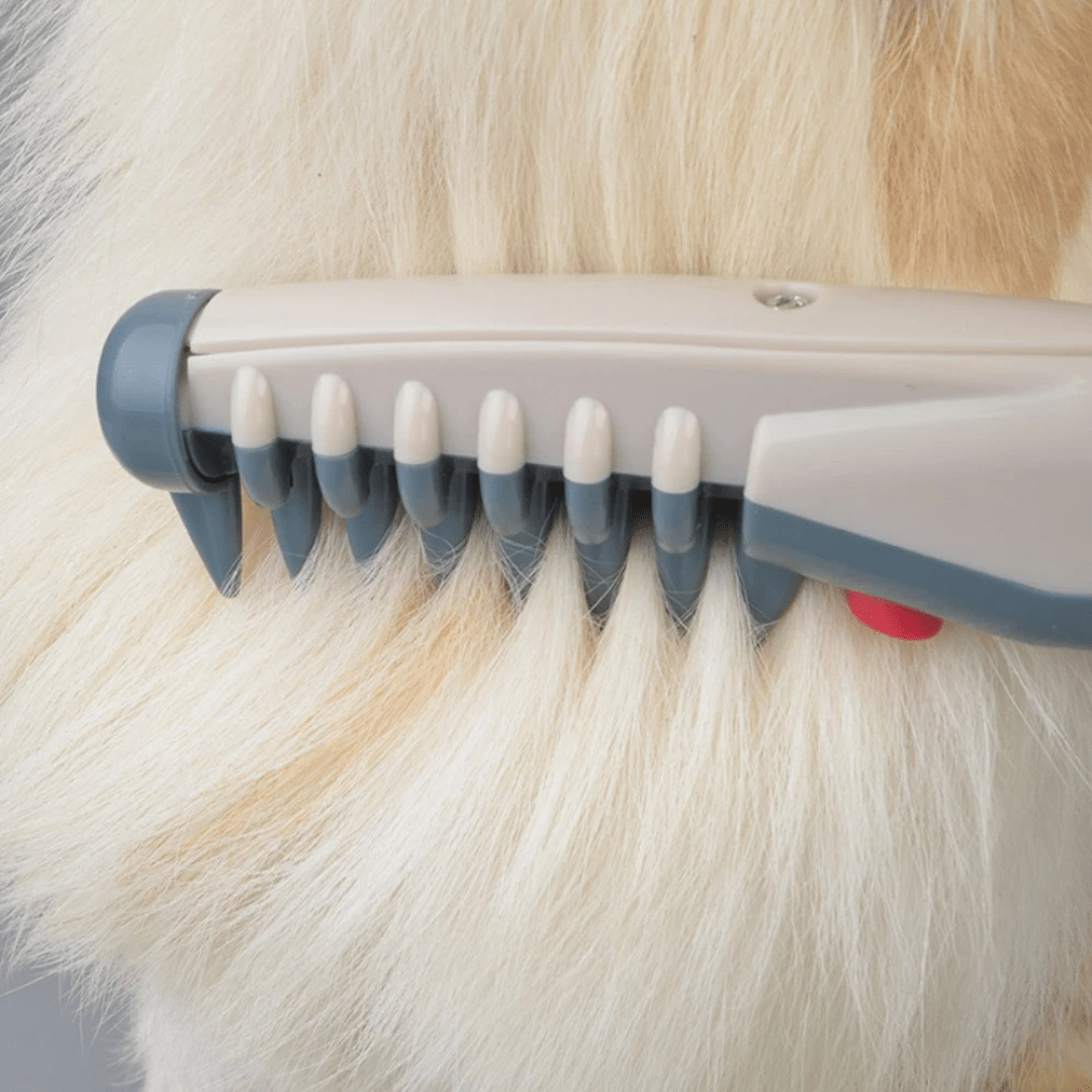Tondeuse maniable pour animaux, toilettage doux et facile du pelage chat et chien à domicile.