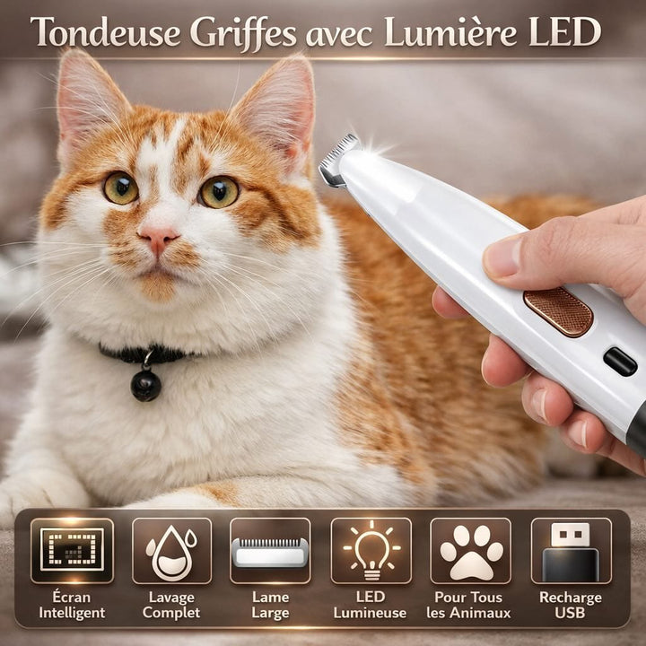 Tondeuse de toilettage étanche pour pattes, oreilles de chien/chat, coupe précise, silencieuse, rechargeable.