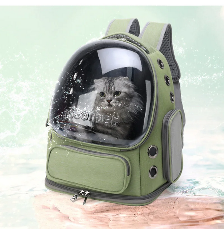 Voyagez avec votre chat/chien: sac à dos transparent et respirant, aventure.