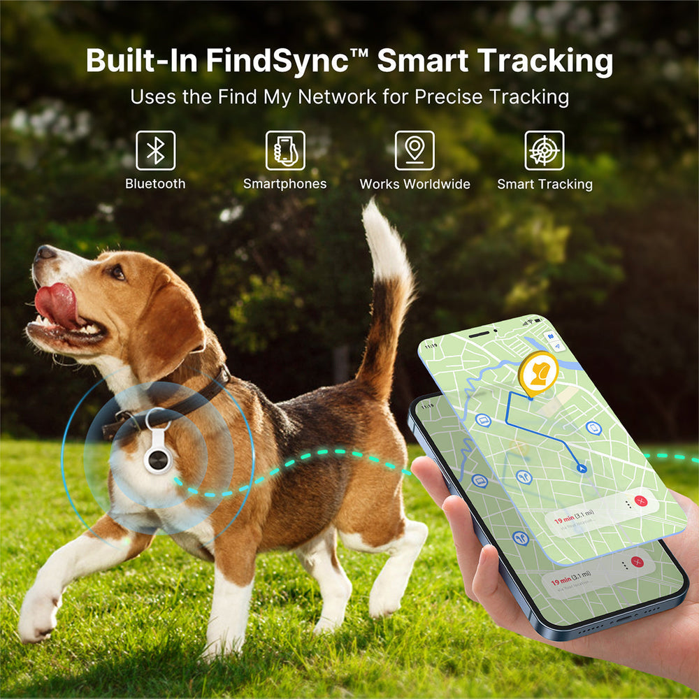 Traceur GPS étanche pour chien ou chat, offrant une localisation en temps réel et une sécurité accrue de l'animal.
