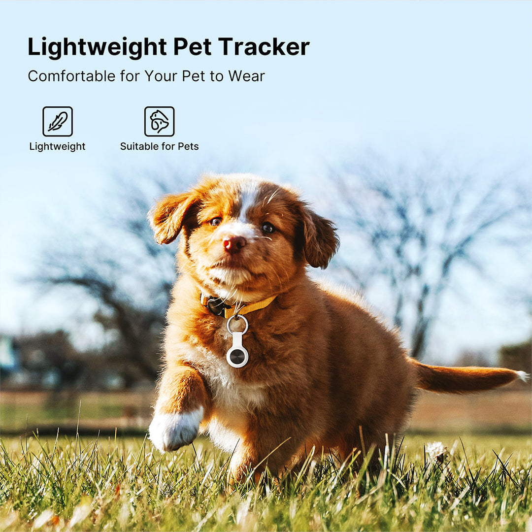 Traceur GPS étanche et autonome pour la sécurité de votre animal. Localisation rapide en cas de fugue de chien/chat.