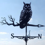 Hibou