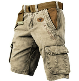 Short Cargo Homme Confortable, vêtement d'été indispensable pour l'homme moderne et actif.
