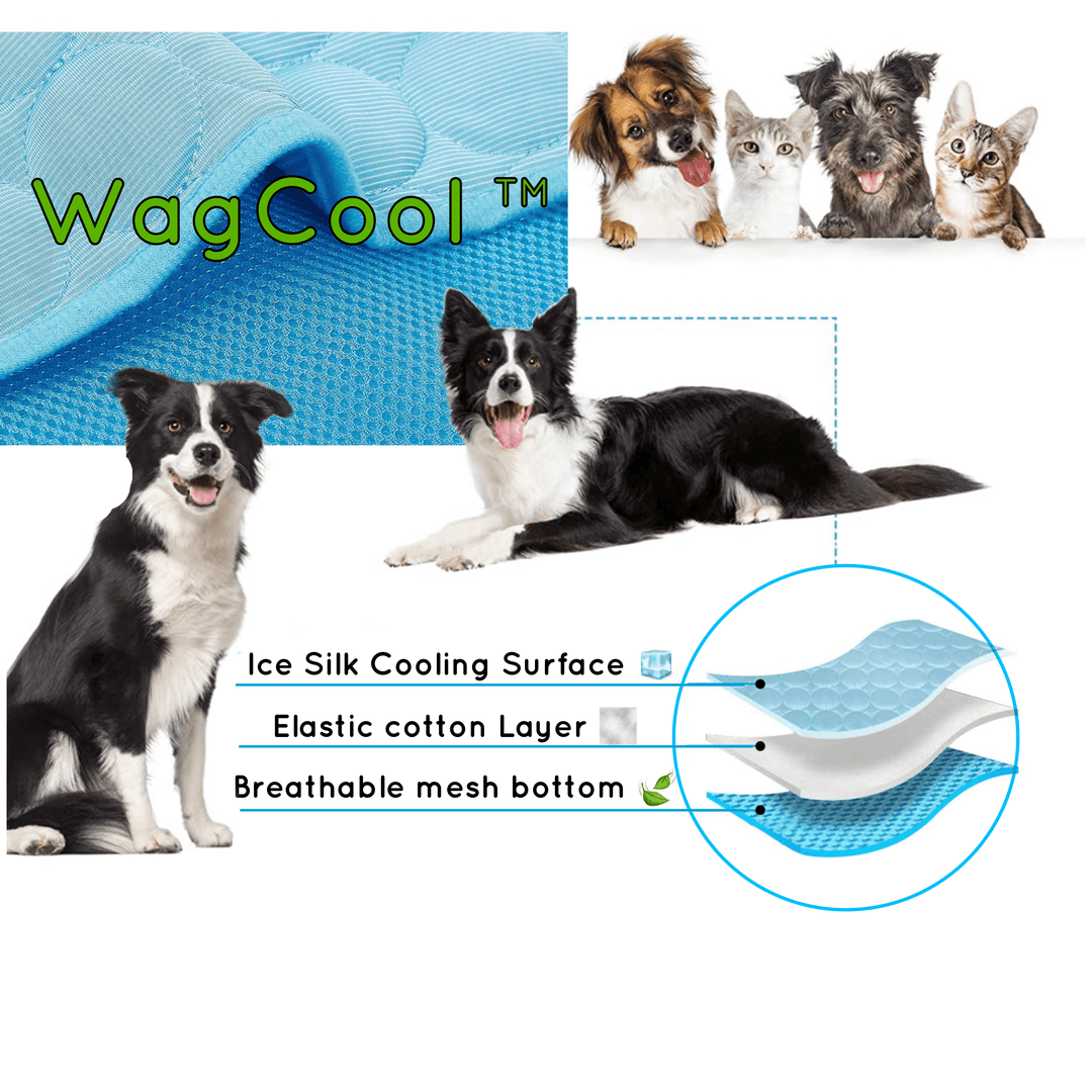 Tapis rafraîchissant pliable pour animaux. Parfait pour la maison, le jardin ou les voyages en période de chaleur.