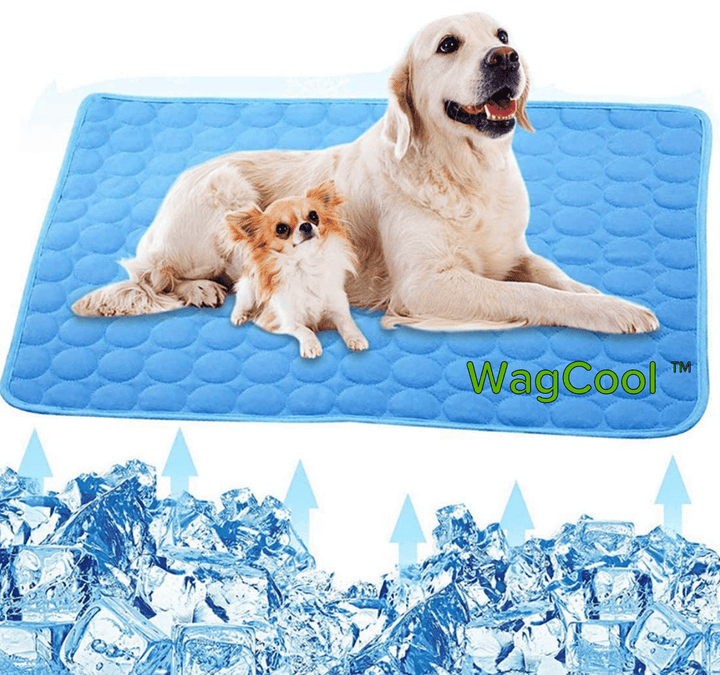 Tapis de fraîcheur portable pour chiens et chats. Aide à réguler leur température corporelle durant l'été.