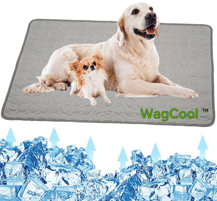 Soulagez votre chien de la chaleur estivale avec ce tapis rafraîchissant et confortable. Accessoire essentiel.