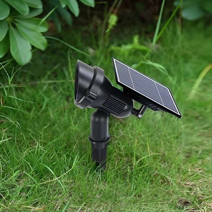 Installation facile d'un spot solaire LED piquet pour éclairer un chemin de jardin.