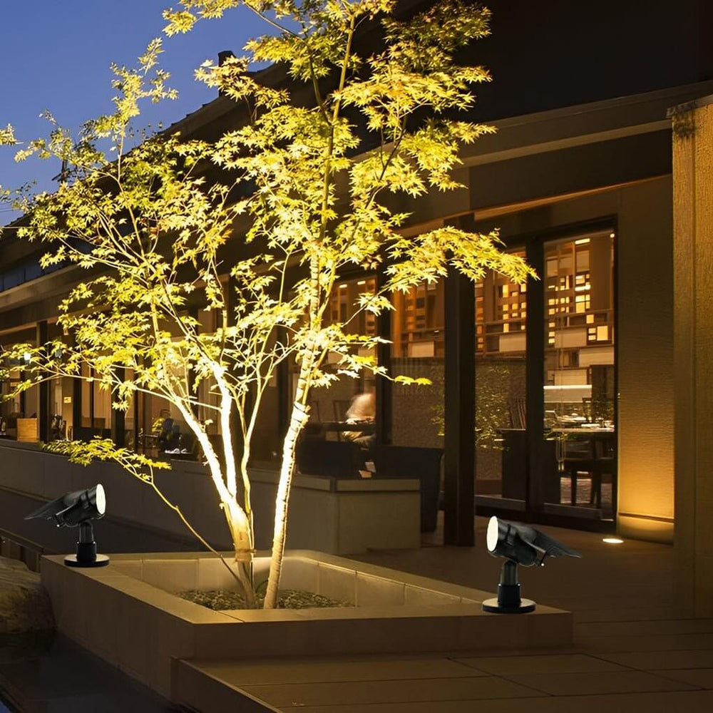 Lumière LED solaire étanche illuminant un parterre de fleurs la nuit. Ambiance jardin parfaite.